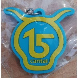 Porte-clés (jaune/bleu)