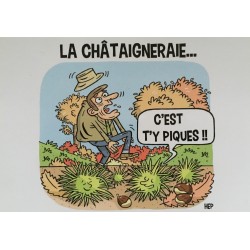 Carte Postale "La...