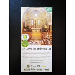 Au coeur des châtaigniers -...