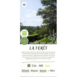 36 - La Foret - Roannes St...