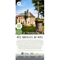 20 - Des abeilles au miel -...