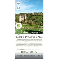 52 - La Dame du Castel...