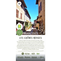 25 - Les chênes rouges -...