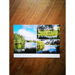 Carte Postale du Rouget ANCOOR