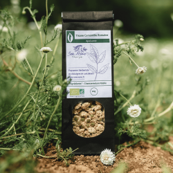 Tisane Camomille Romaine Bio