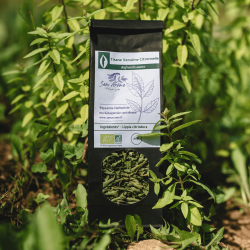 Tisane Verveine Citronnelle...